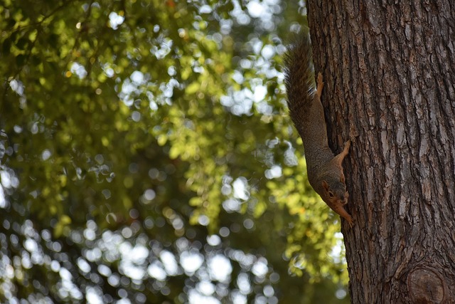 竞技中找到 竞技中找到