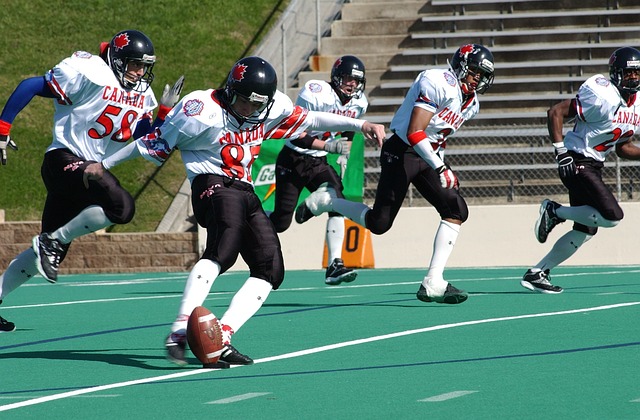 全面介绍了 全面介绍了