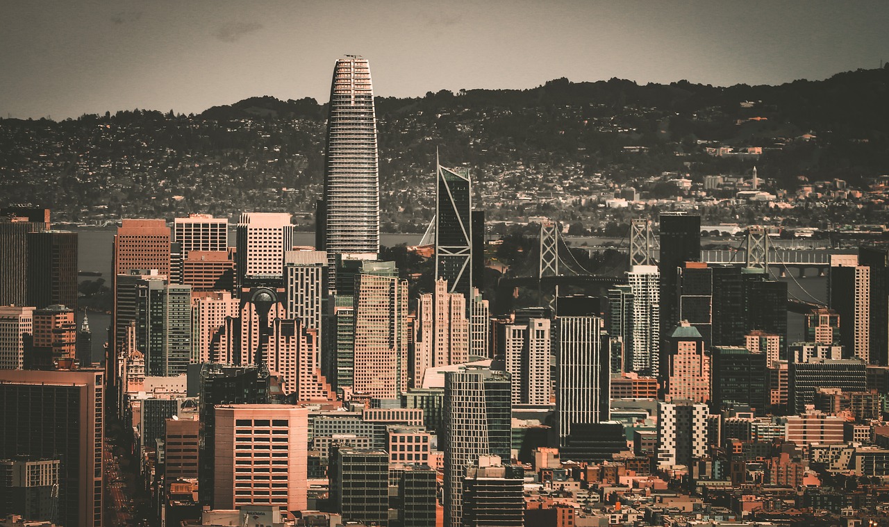 无疑将成为 无疑将成为