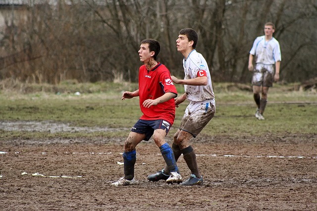 锦赛成为更 锦赛成为更