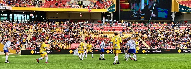 薩拉赫的犯 薩拉赫的犯